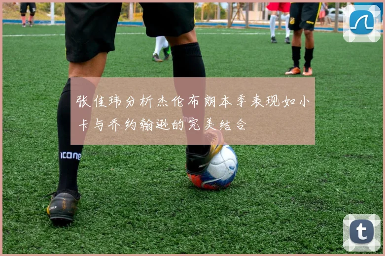 张佳玮分析杰伦布朗本季表现如小卡与乔约翰逊的完美结合