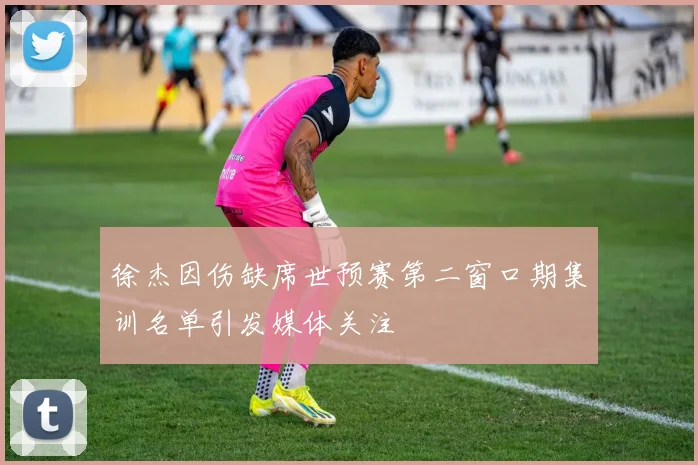 徐杰因伤缺席世预赛第二窗口期集训名单引发媒体关注