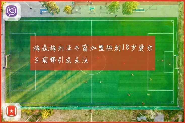 梅森梅利亚冬窗加盟热刺18岁爱尔兰前锋引发关注