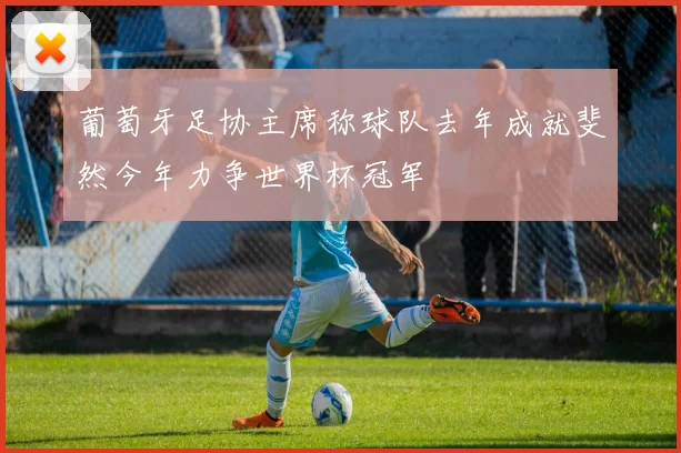 葡萄牙足协主席称球队去年成就斐然今年力争世界杯冠军
