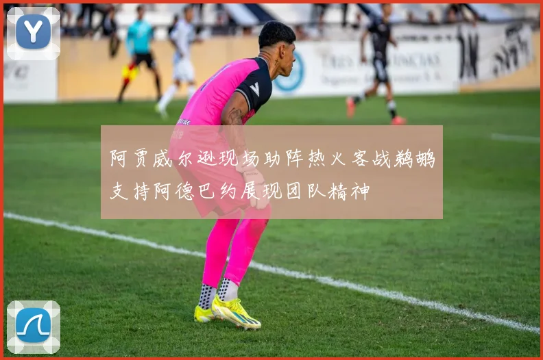阿贾威尔逊现场助阵热火客战鹈鹕支持阿德巴约展现团队精神
