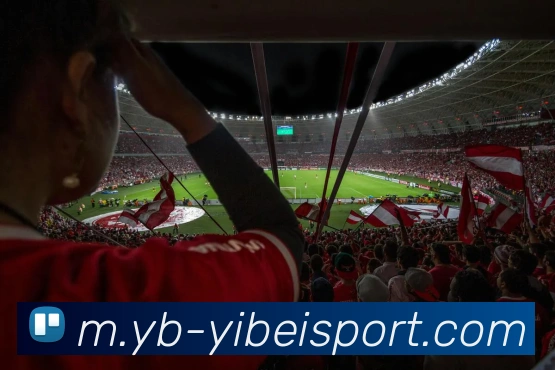 多媒体互动体验