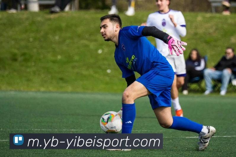 易倍体育APP 高清赛事图